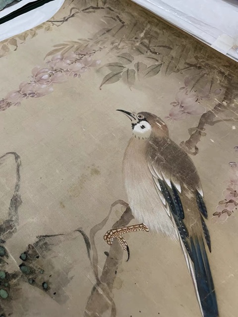 古玩字畫蔣廷錫款花鳥真品鑒賞圖