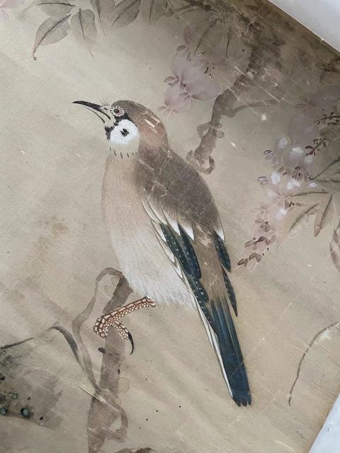 古玩字畫蔣廷錫款花鳥真品鑒賞圖