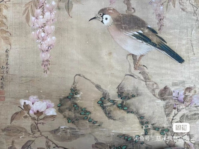 古玩字畫蔣廷錫款花鳥真品鑒賞圖