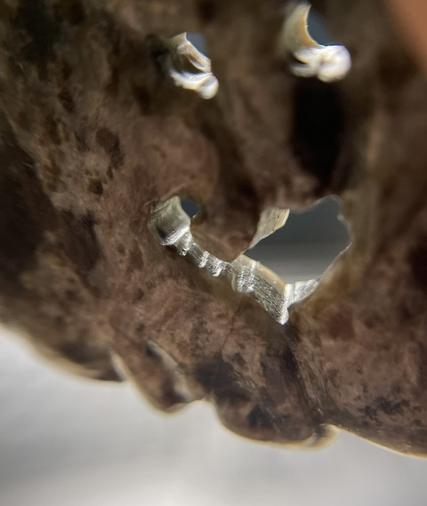 古玩玉器仿古玉龍紋佩真品鑒賞圖