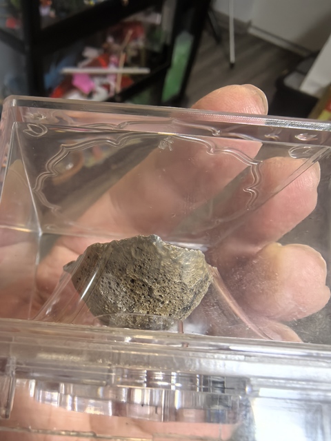 古玩錢幣銀錠真品鑒賞圖