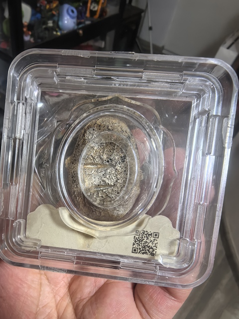 古玩錢幣銀錠真品鑒賞圖