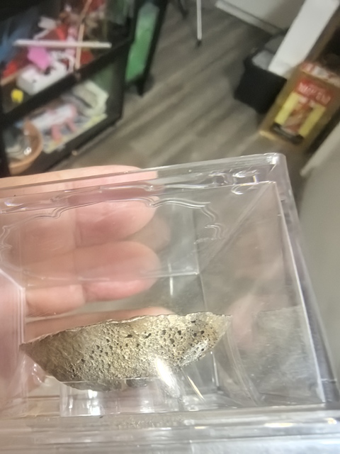 古玩錢幣銀錠真品鑒賞圖