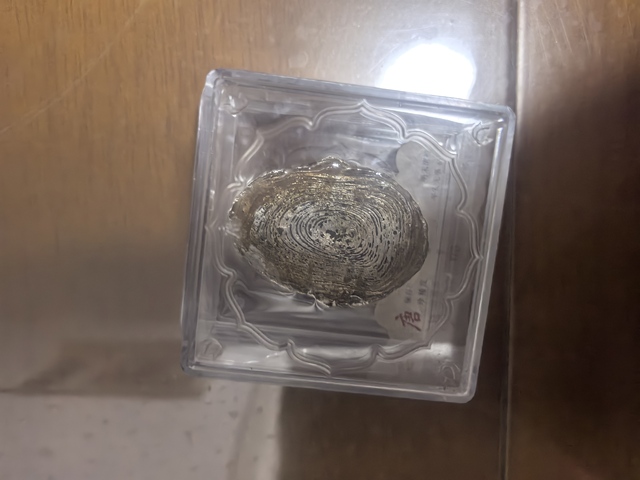 古玩錢幣銀錠真品鑒賞圖