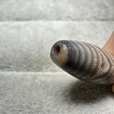 古玩玉器瑪瑙珠真品鑒賞圖