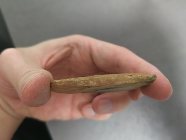 古玩玉器地方料蟬真品鑒賞圖