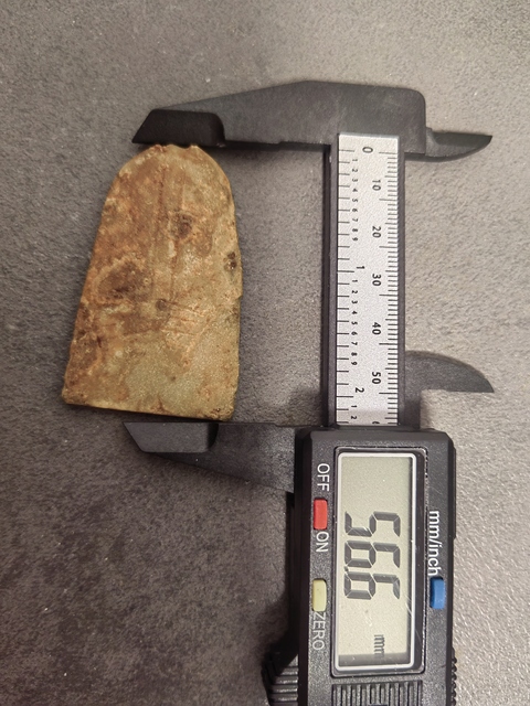 古玩玉器地方料蟬真品鑒賞圖