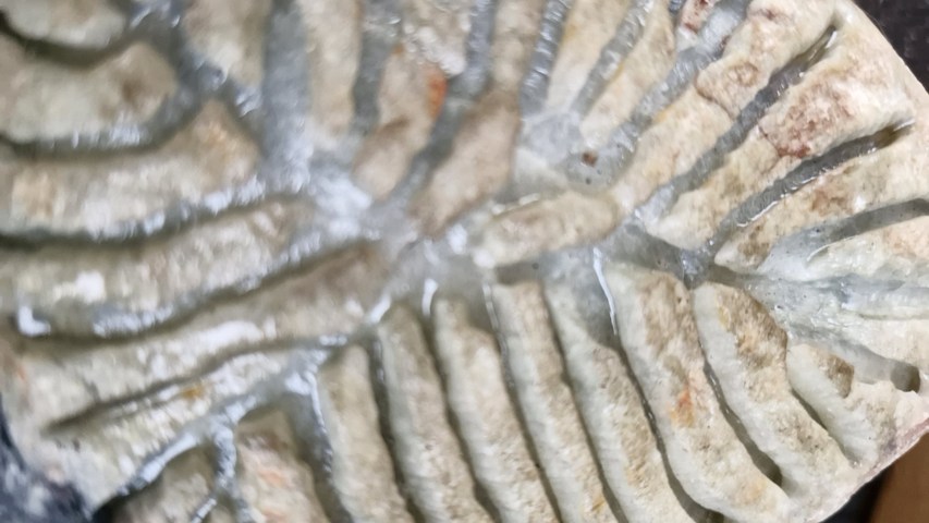 古玩玉器翡翠原石真品鑒賞圖