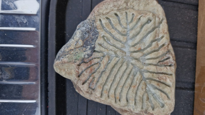 古玩玉器翡翠原石真品鑒賞圖