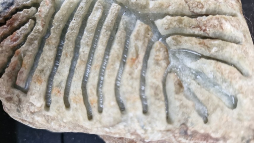 古玩玉器翡翠原石真品鑒賞圖