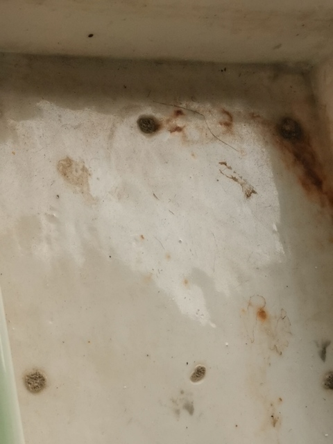 古玩陶瓷清中期粉青釉加白靈芝云紋四方水仙盆真品鑒賞圖