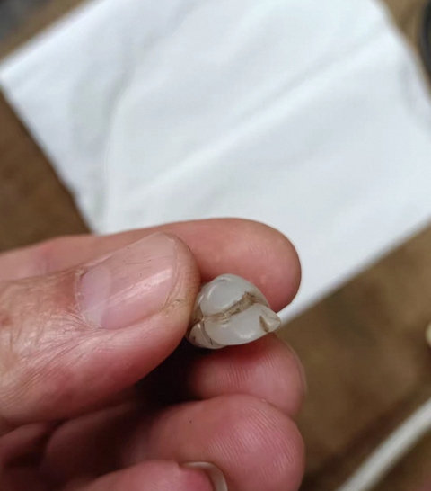 古玩玉器童子真品鑒賞圖