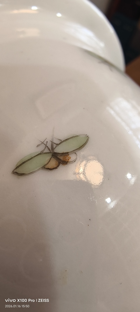 古玩陶瓷粉彩松鶴富貴紋花盆真品鑒賞圖